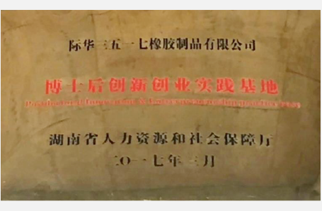 2017年3月,湖南省人力資源和社會保障廳批準公司技術中心設立博士後科研流動站協作研發中心