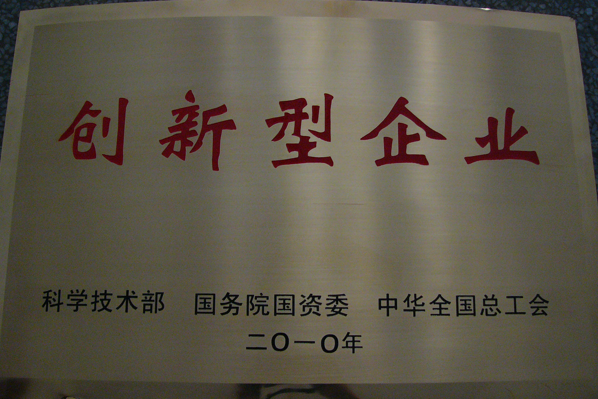 2010年 創新型企業