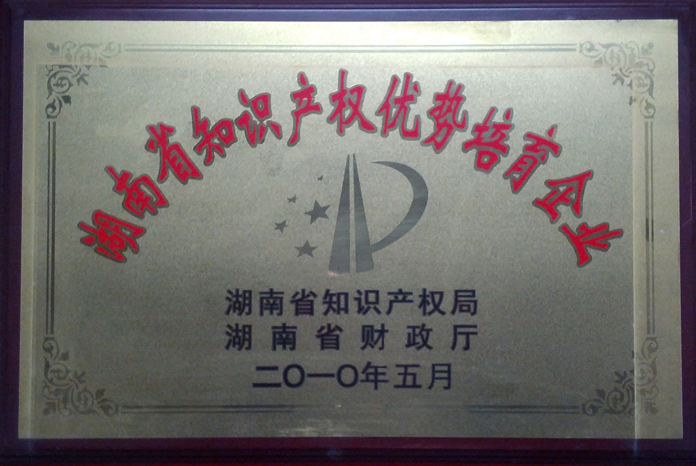 2010年 知識産權優勢培育企業