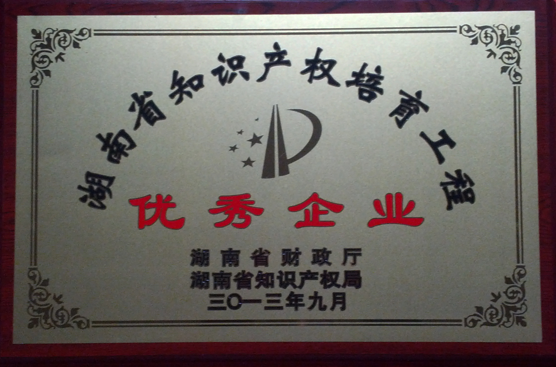 2013年 知識産權優秀企業