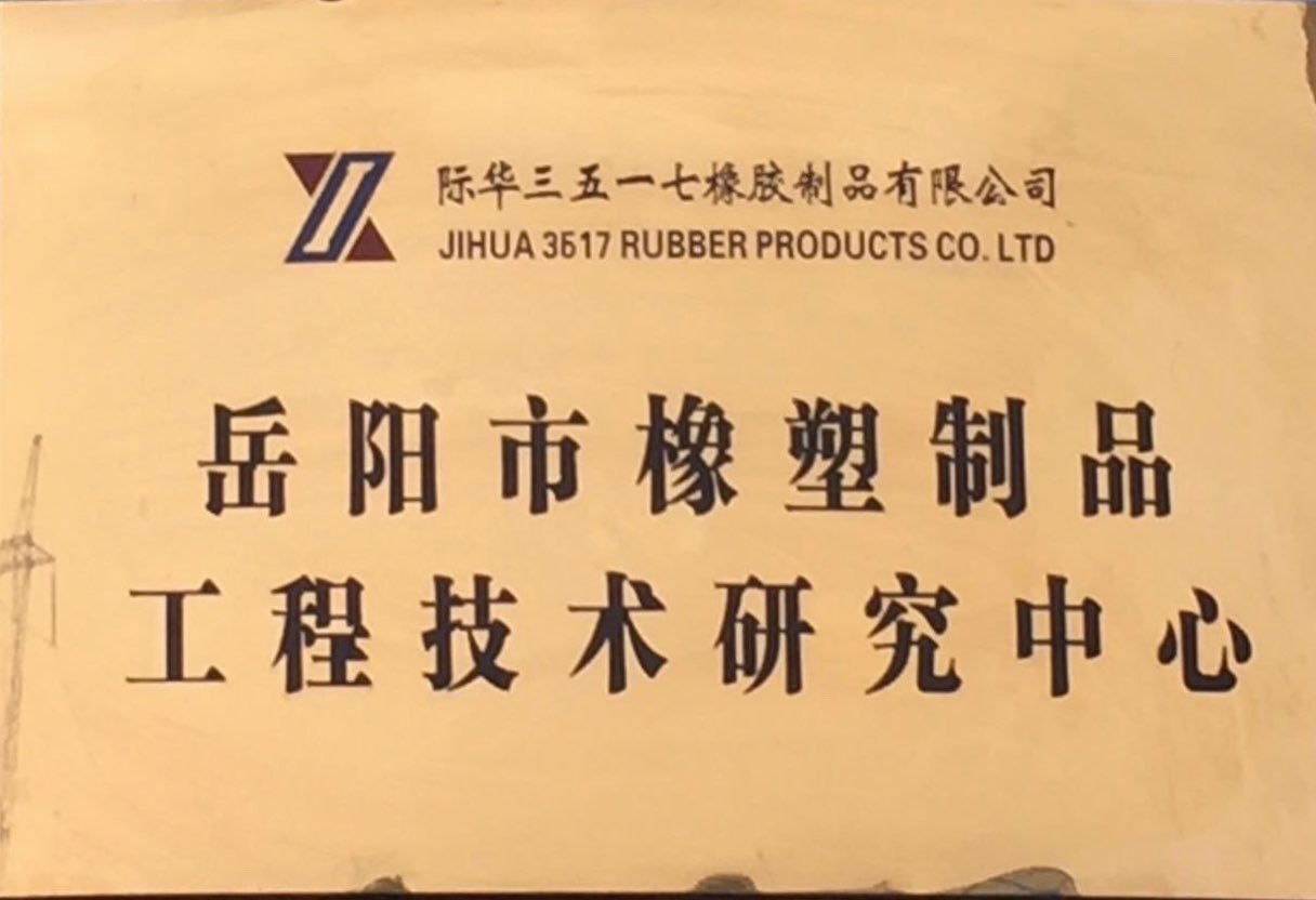 2011年 嶽陽市橡塑制品工程技術研究中心